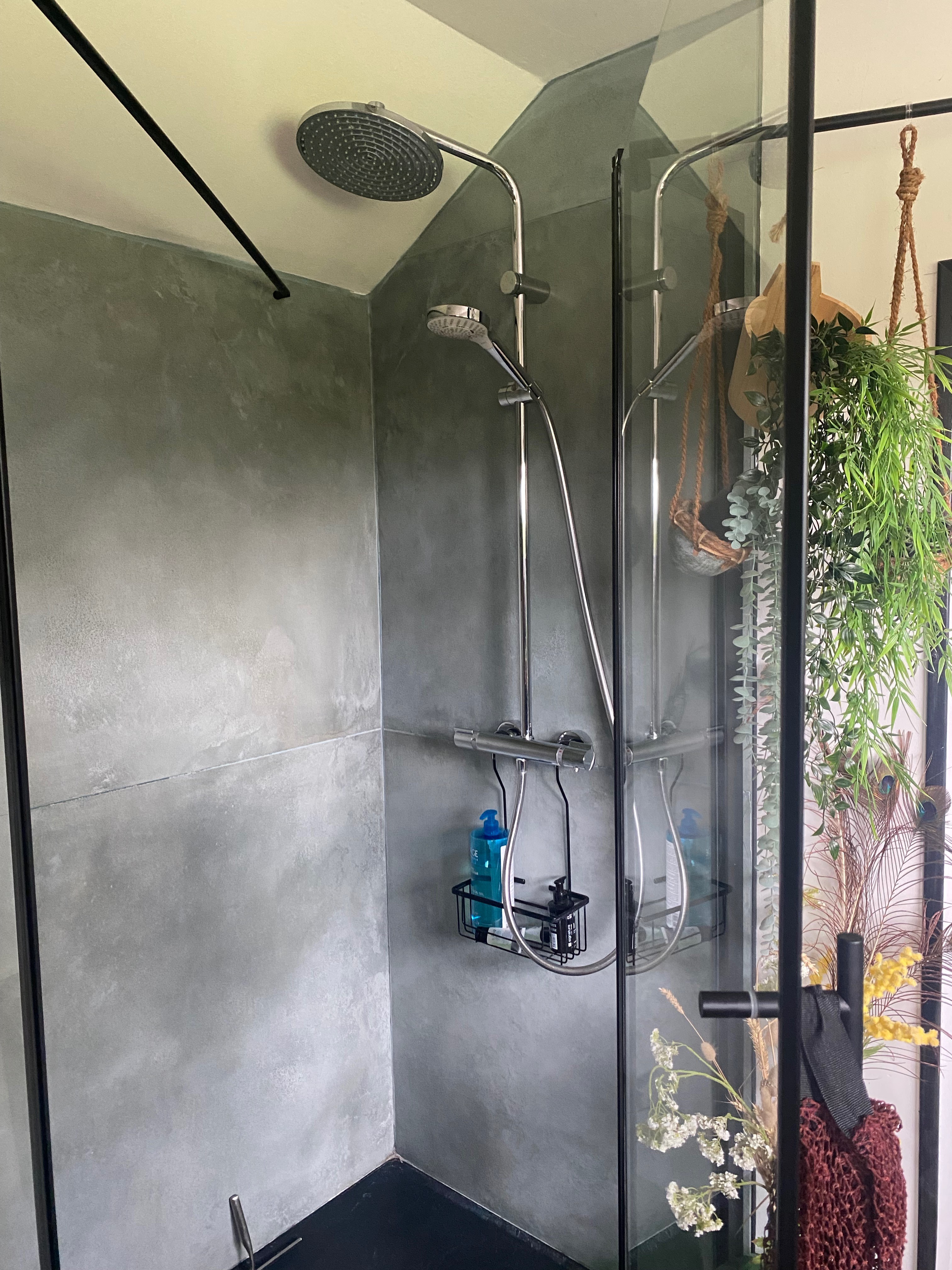 view inside shower room garden level