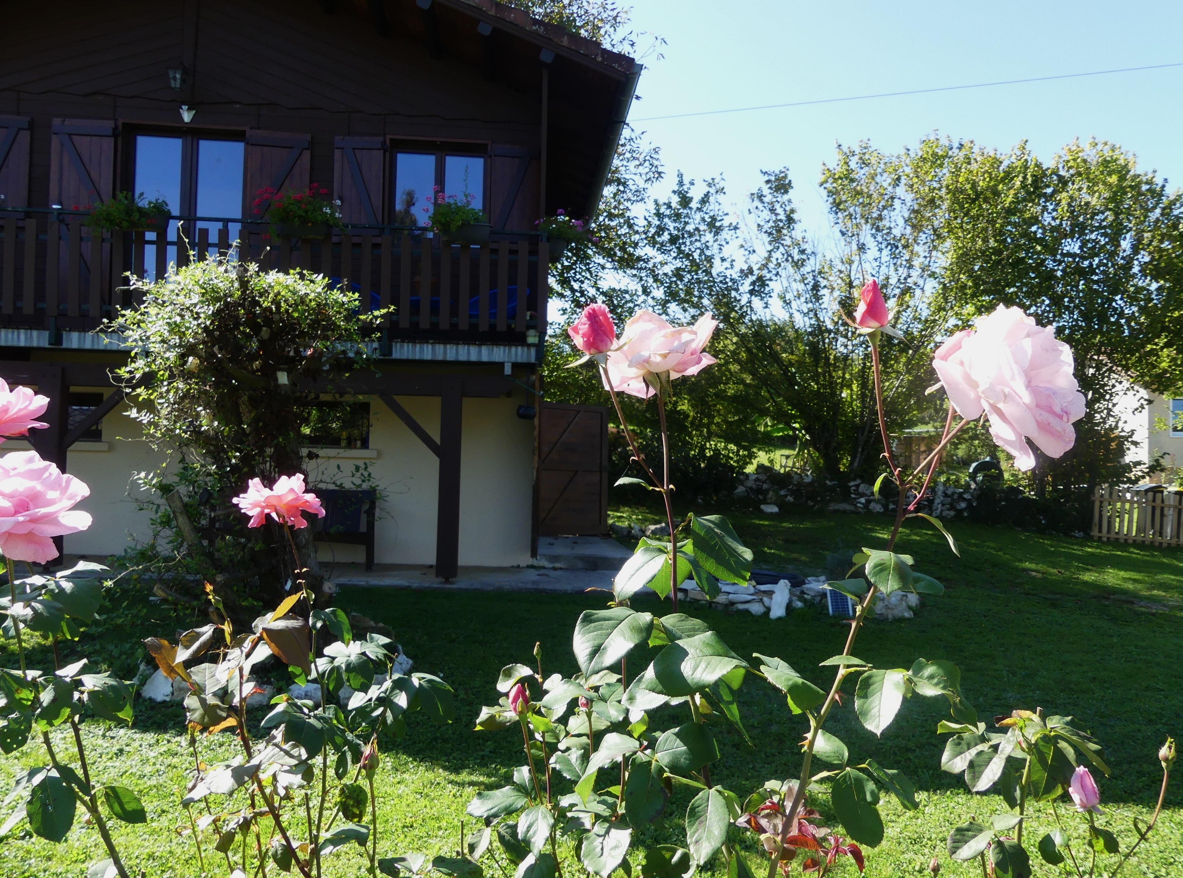 Photo n° 18 of the location