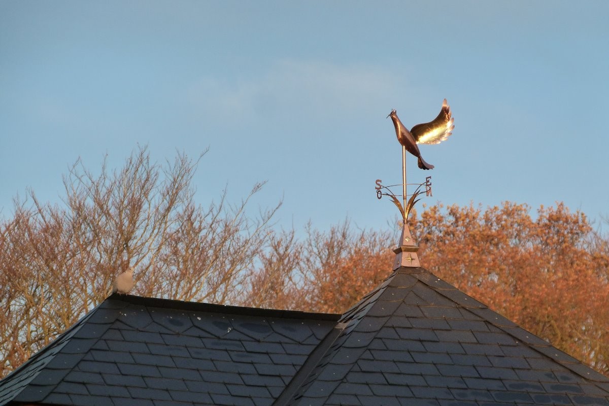 une girouette artisanale surplombe le pigeonnier