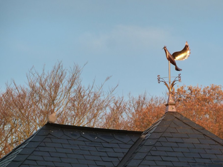 une girouette artisanale surplombe le pigeonnier