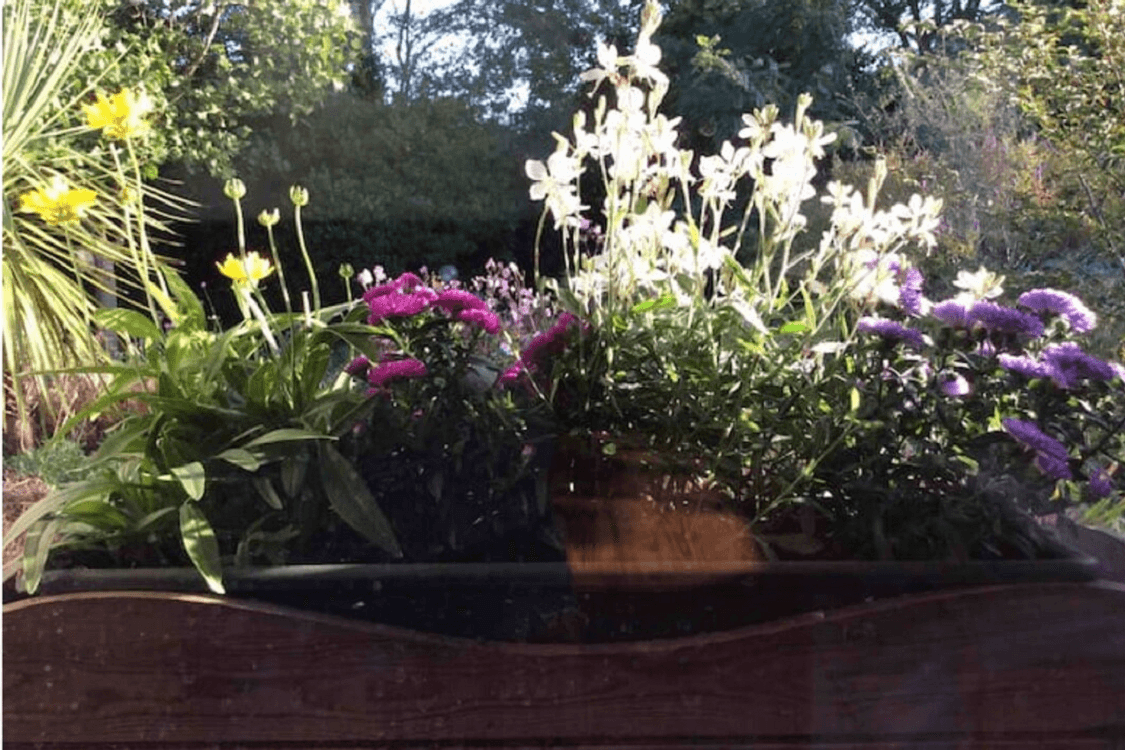 Jardinière de fleurs