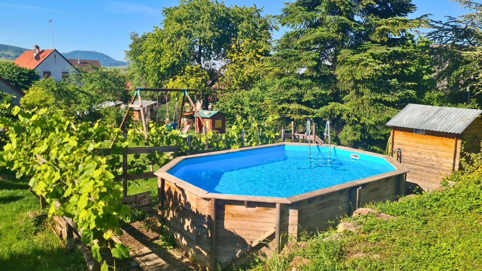 piscine et vue jardin