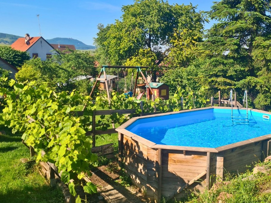 swimming pool and garden view