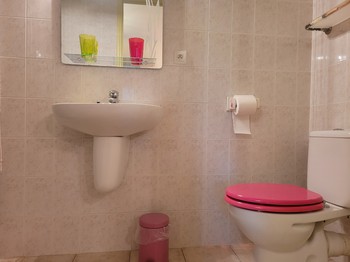 Salle d'eau de la chambre Hortensias avec douche et WC
