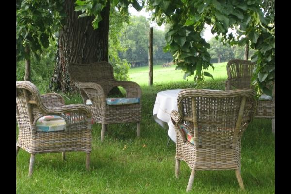 sous les tilleuls du parc