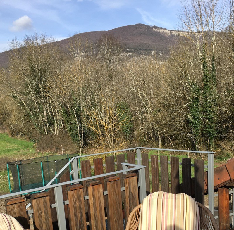 Terrasse avec vue sur les montagnes et les vignes