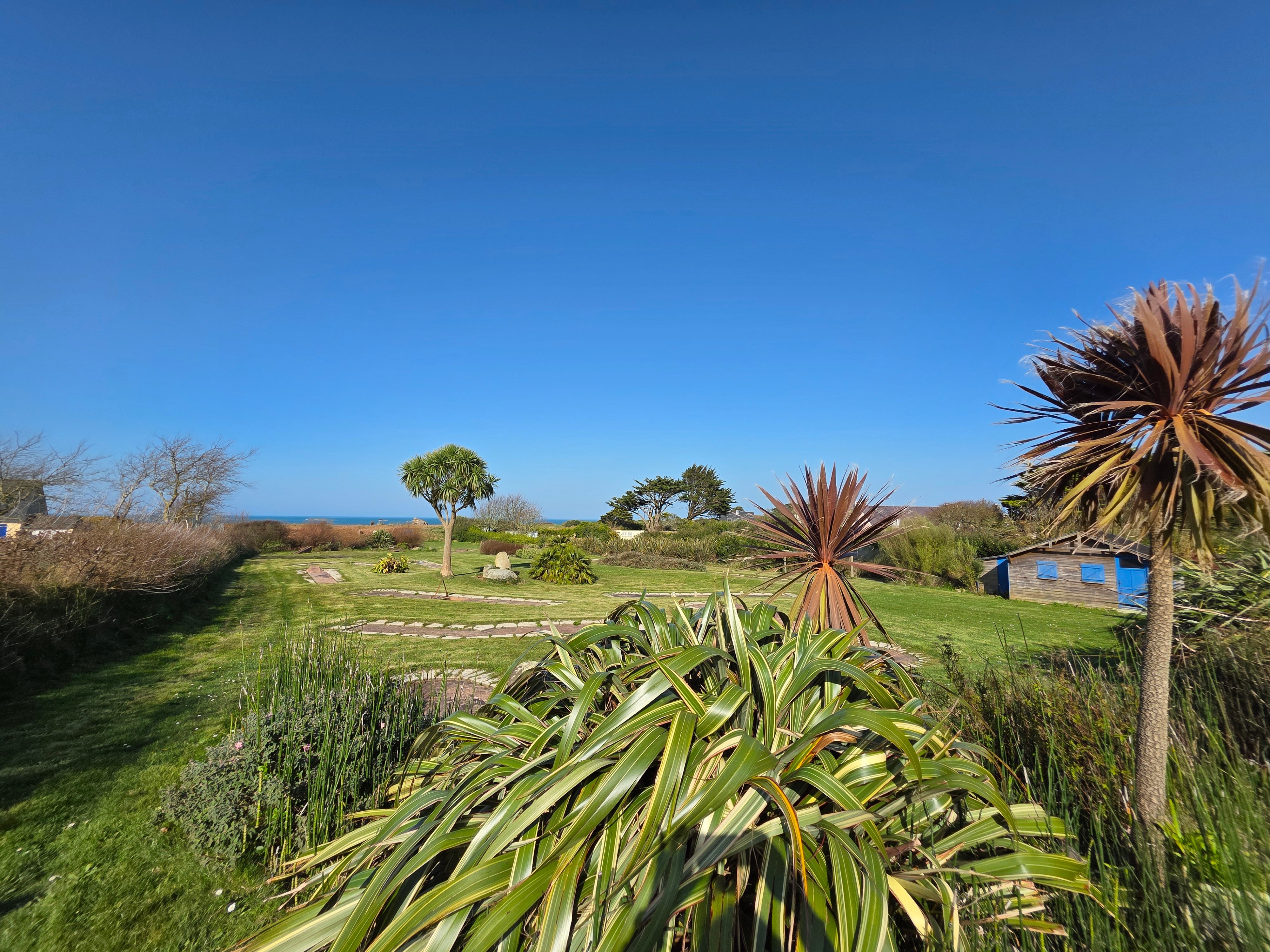 The garden