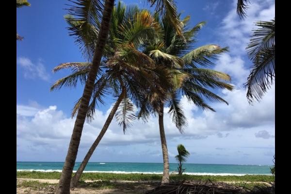 plage de l'Anse Grosse Roche"