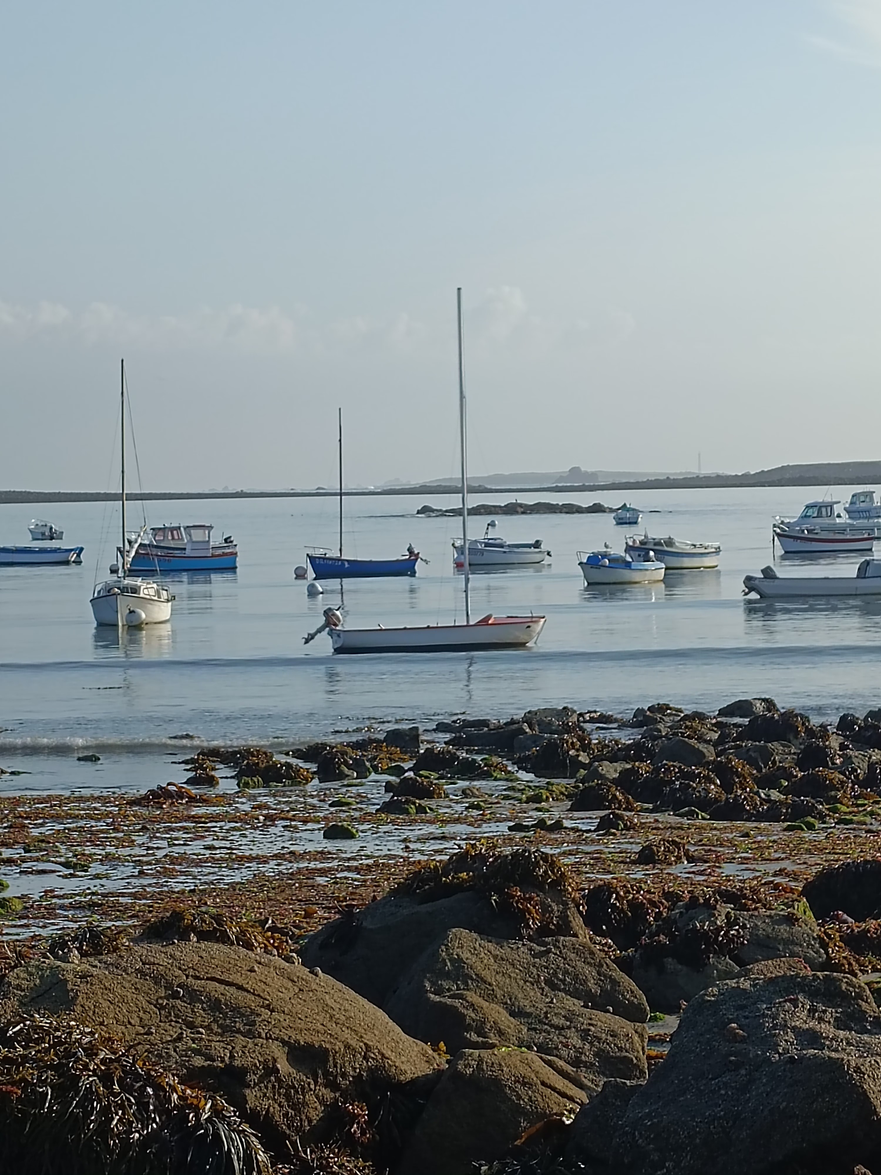 Photo n° 40 de la location