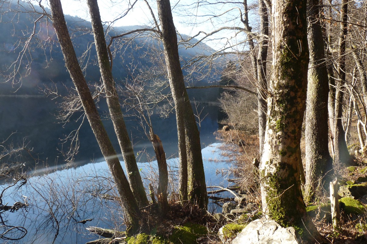 Photo n° 15 de la location