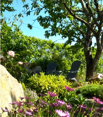 Photo n° 5 of the location