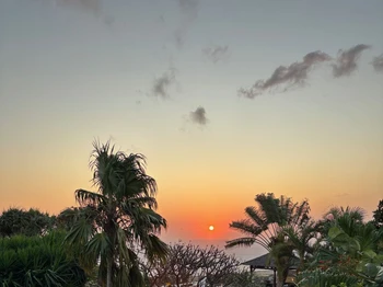 Vue de la Terrasse