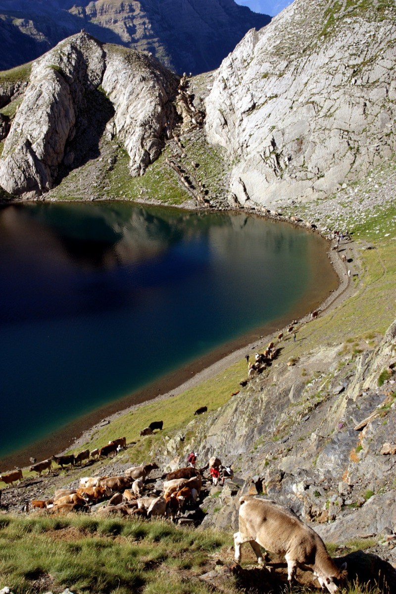 Photo n° 17 de la location