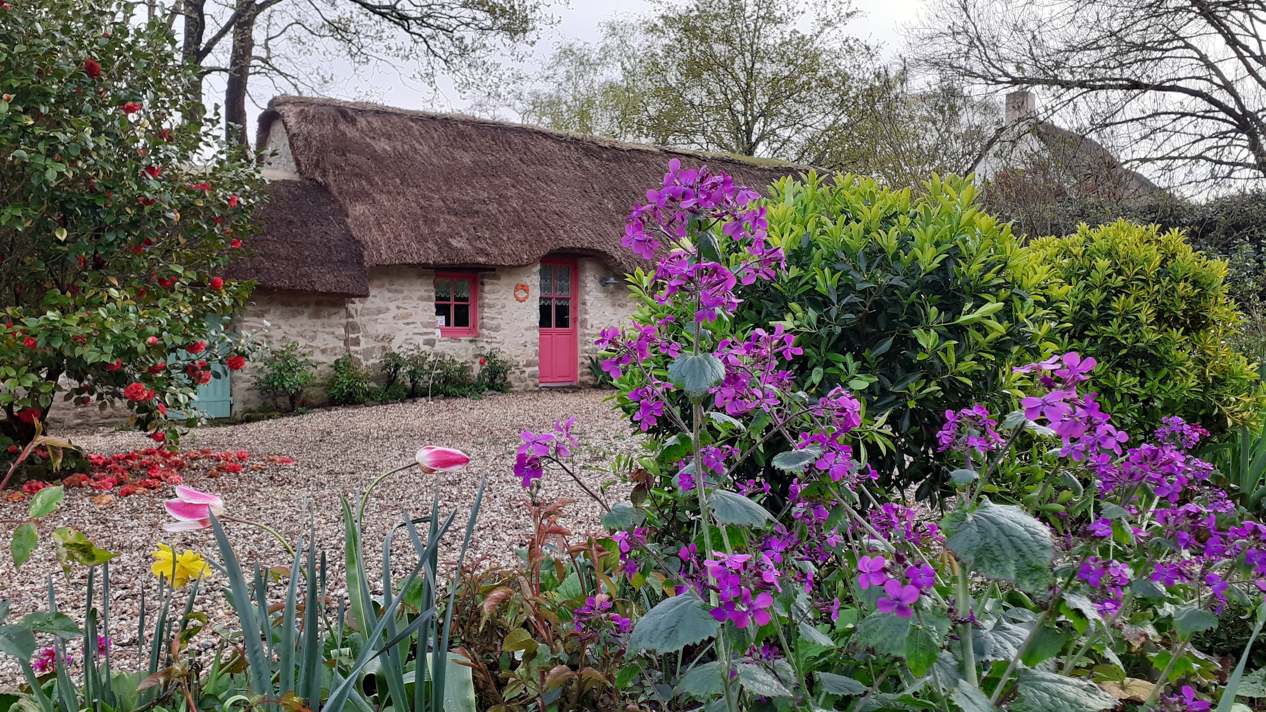 Gite et jardin de BrAd en Brière