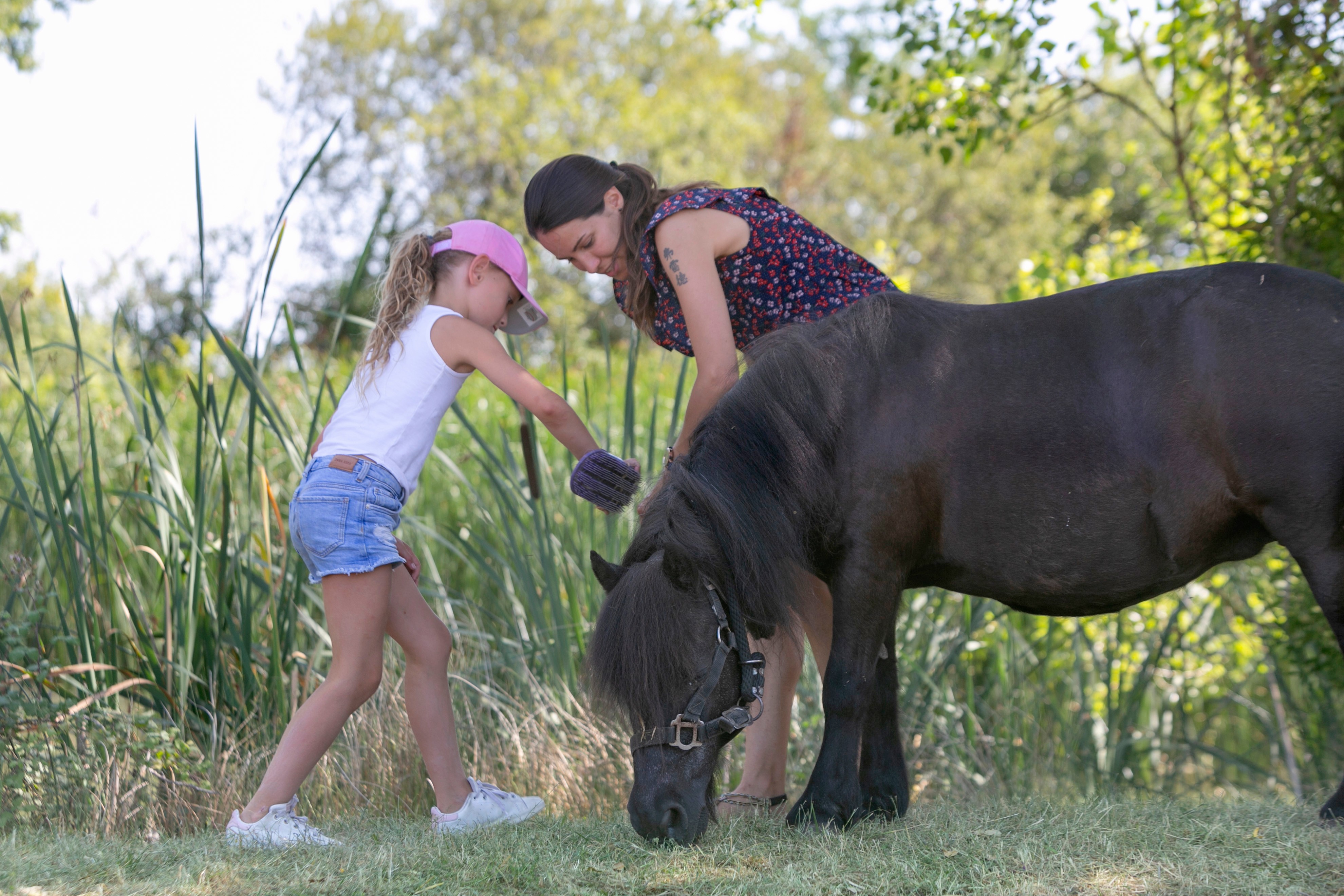 Photo n° 5 of the location