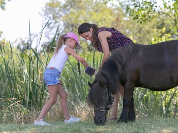 Photo n° 5 of the location