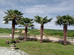 Image n° 5 de la location