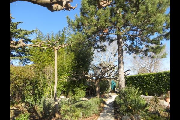 jardin devant la location