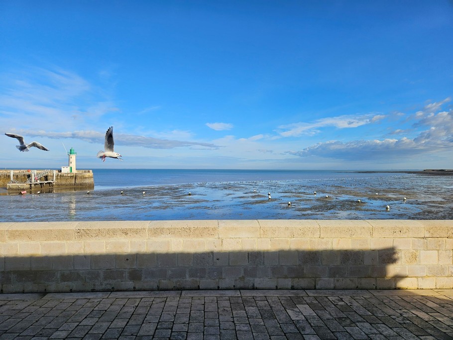 Vue du meublé sur l'océan et de la plage de La Flotte