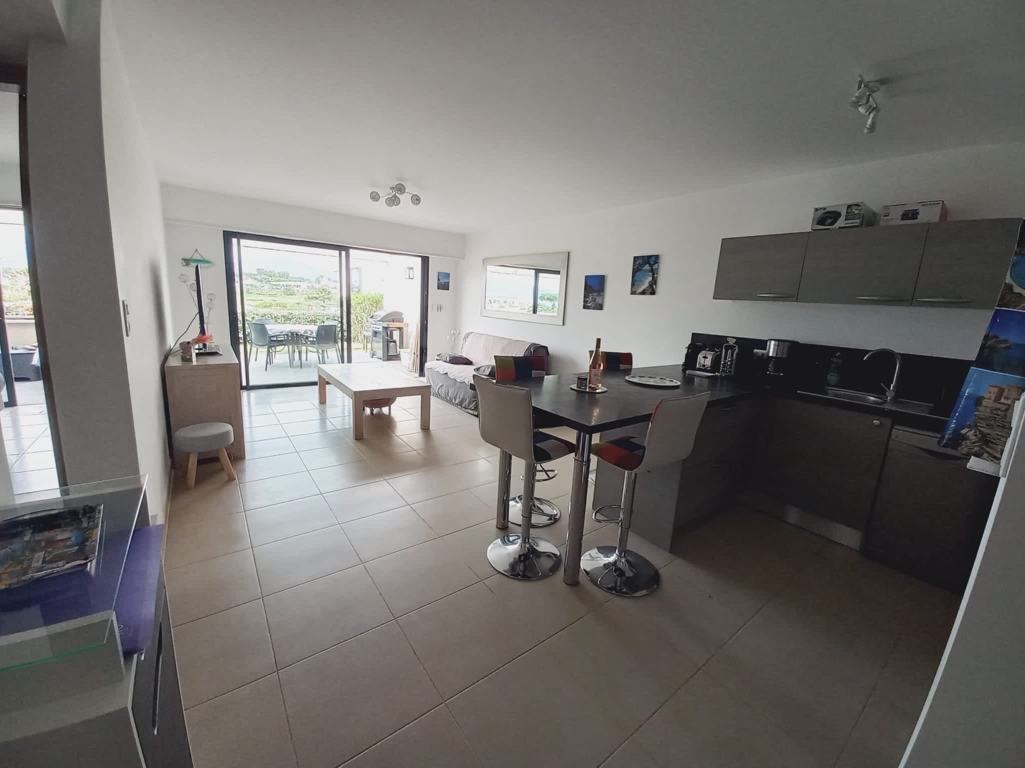 salon et cuisine américaine