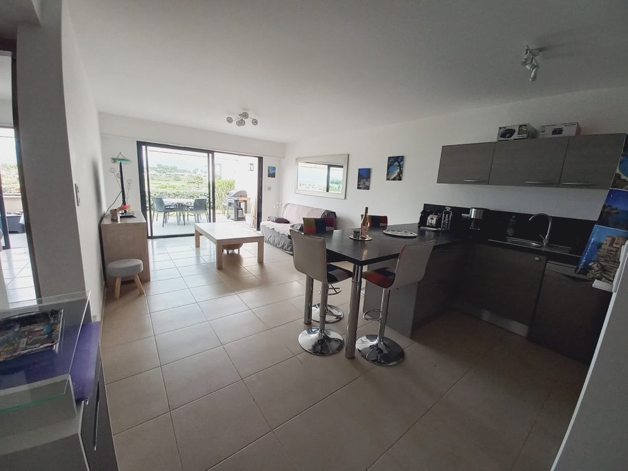 salon et cuisine américaine