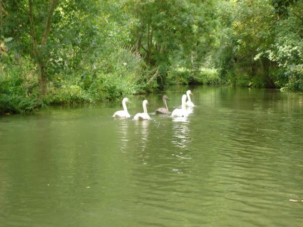 Photo n° 11 de la location