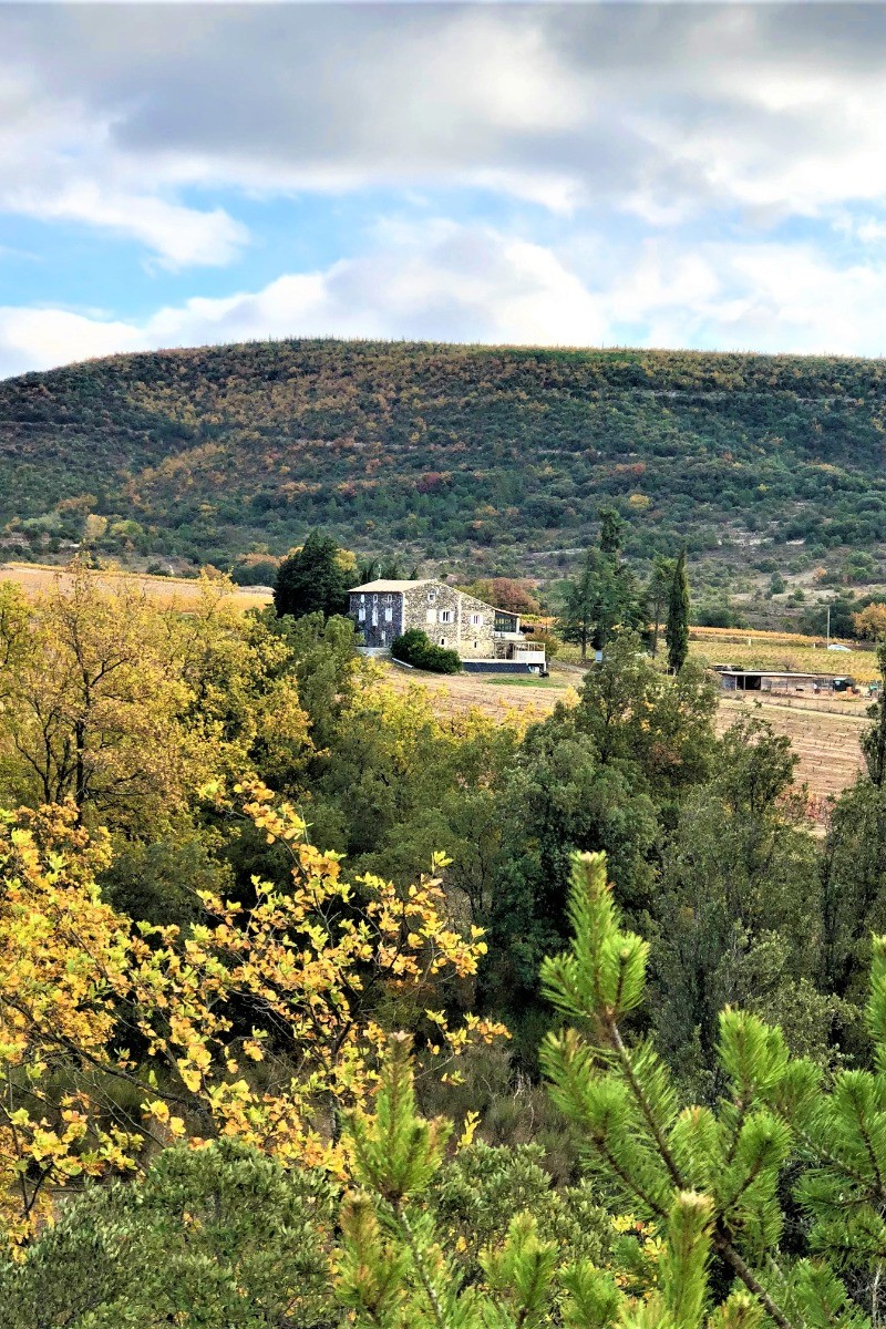 Photo n° 8 de la location