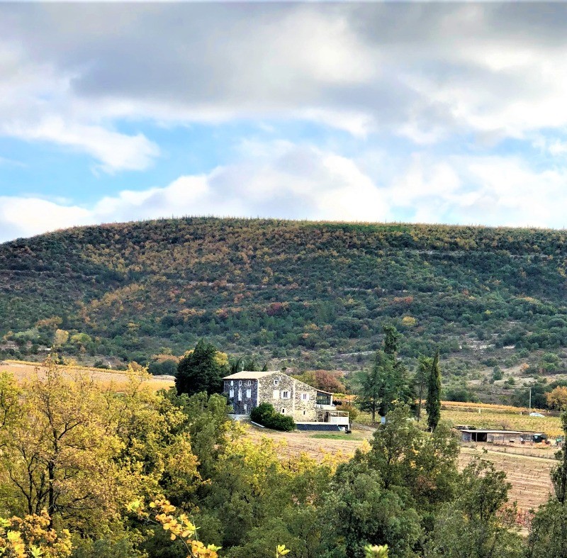 Photo n° 8 de la location