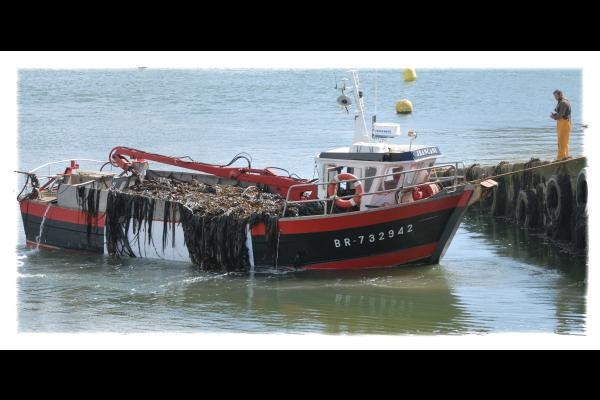 retour de goémonier