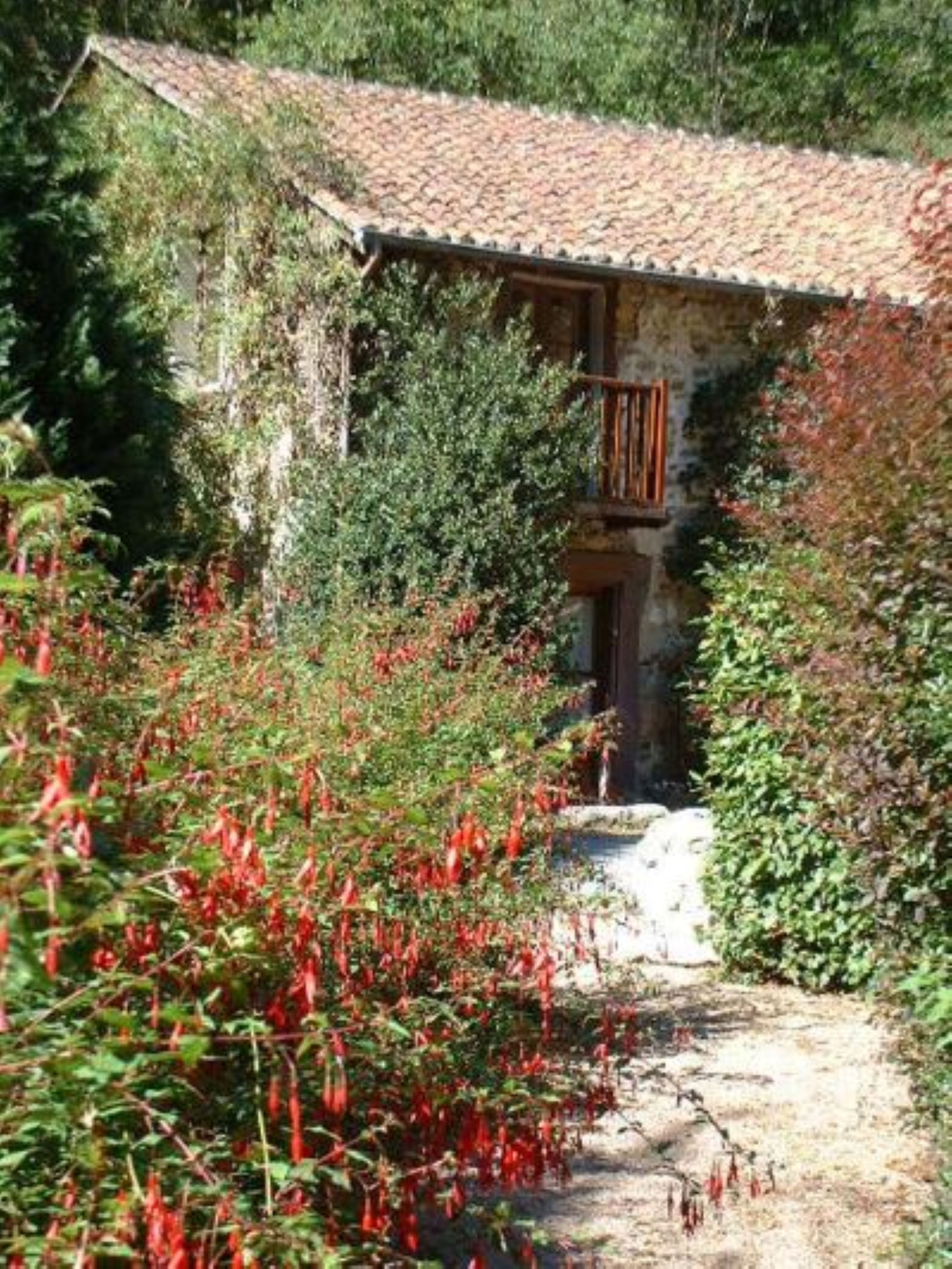 Jardin