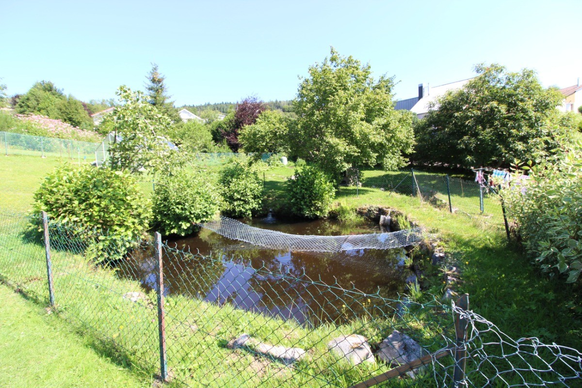 Garden - Villa Amonidée - Gérardmer