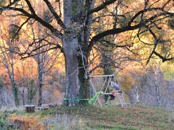 Photo n° 1 of the location