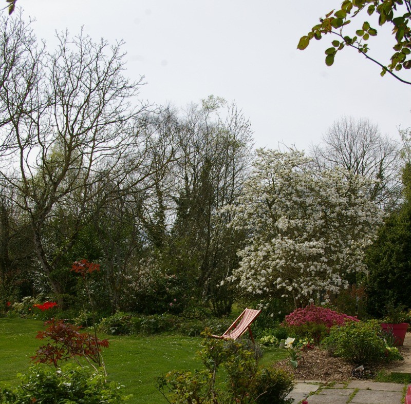Le jardin en mars- Maison de caractère à la campagne dans un superbe cadre , près de la mer. 5 pers.