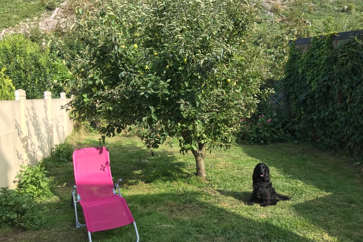Jardin clos