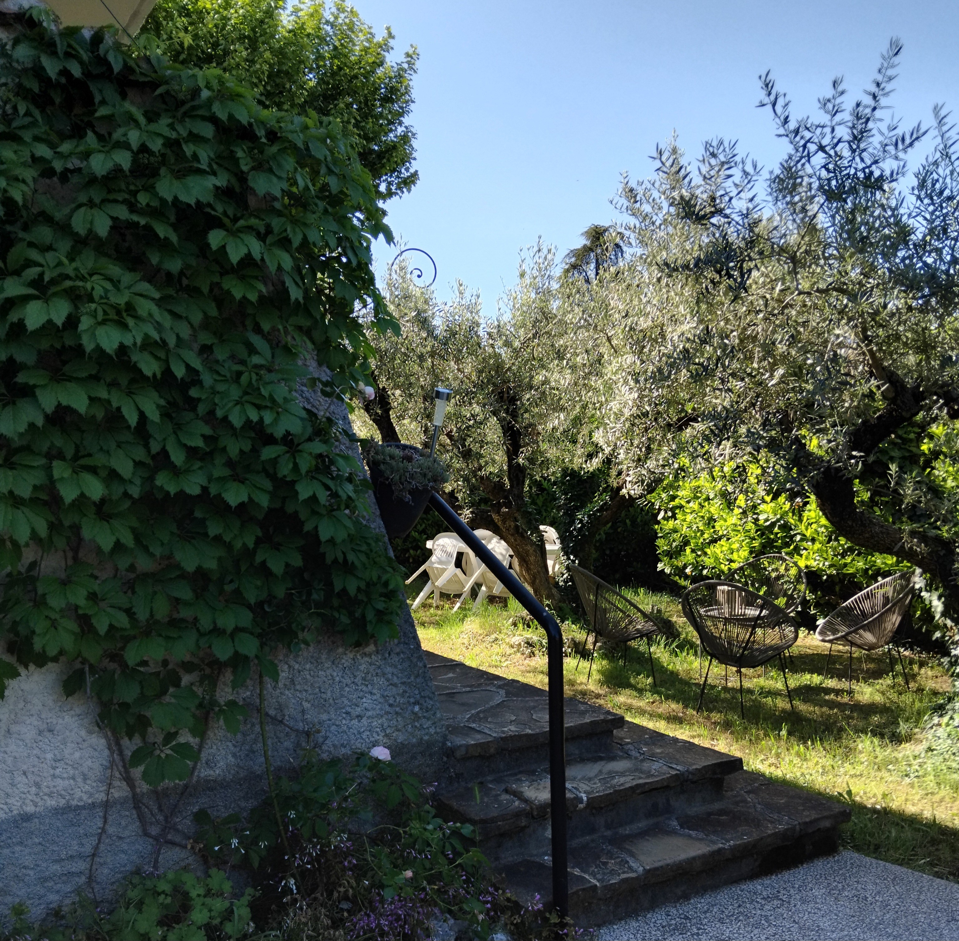 Vue jardin