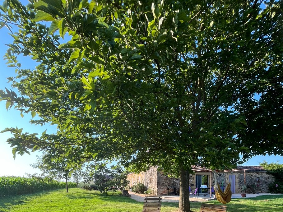 Photo n° 7 of the location