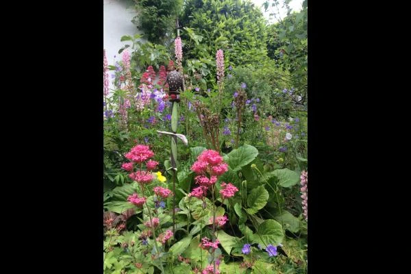 Le jardin au printemps