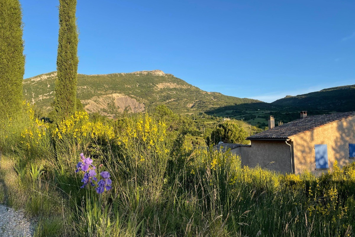 Vue sur les montagnes