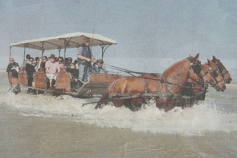 visite de la pêcherie