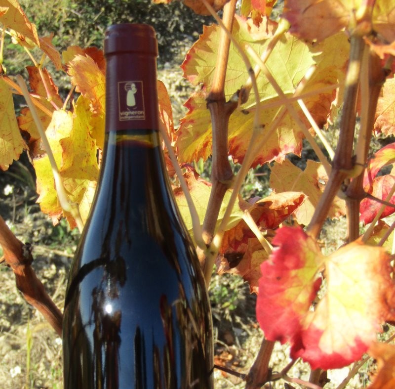 LES VINS DU DOMAINE - AOP COTES DU RHONE VILLAGES