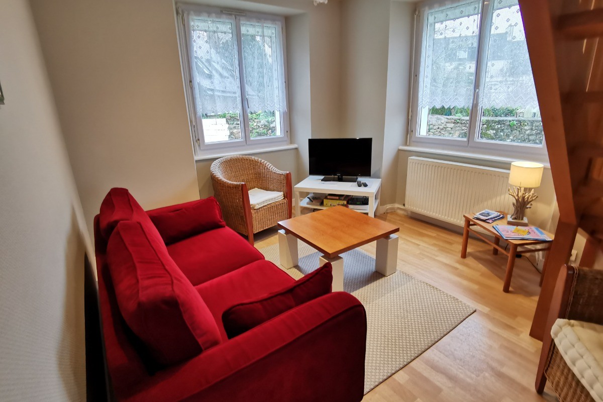Salon avec TV