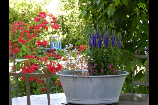 L'environnement fleurie de la Maraîchine
