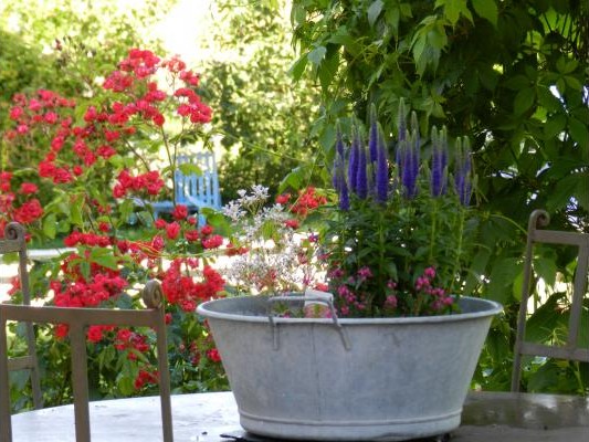 The flowery environment of La Maraîchine