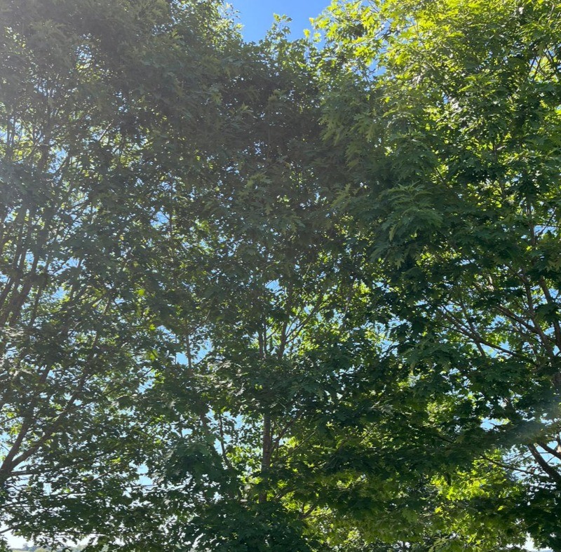 Photo n° 12 de la location