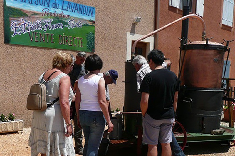 La Maison du Lavandin Sainte Croix du Verdon