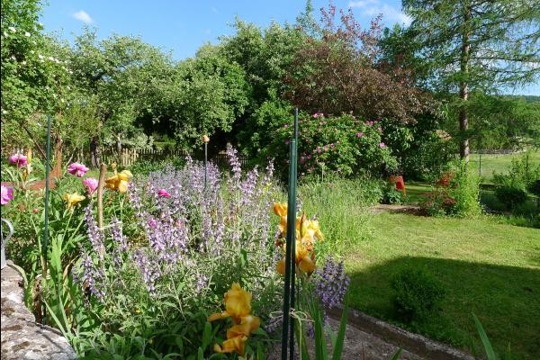 Le jardin en été