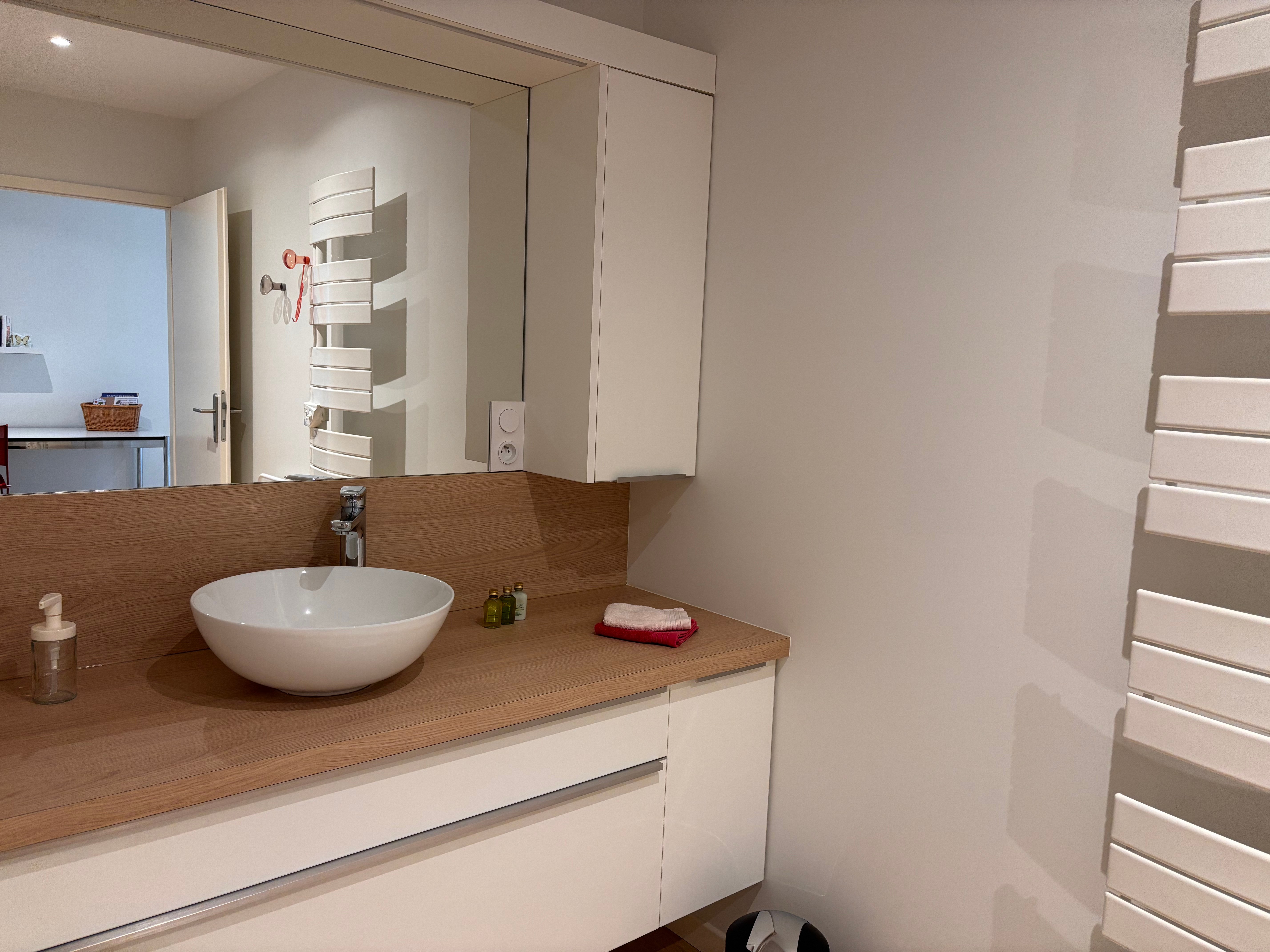 Salle d'eau - Appartement les Marguerites - Contrexéville, Vosges