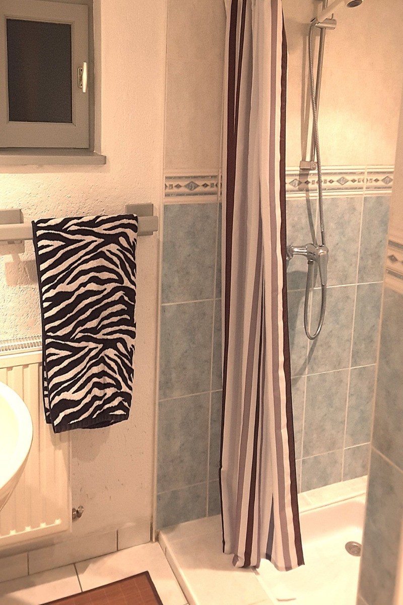 Salle de bain RdC avec douche
