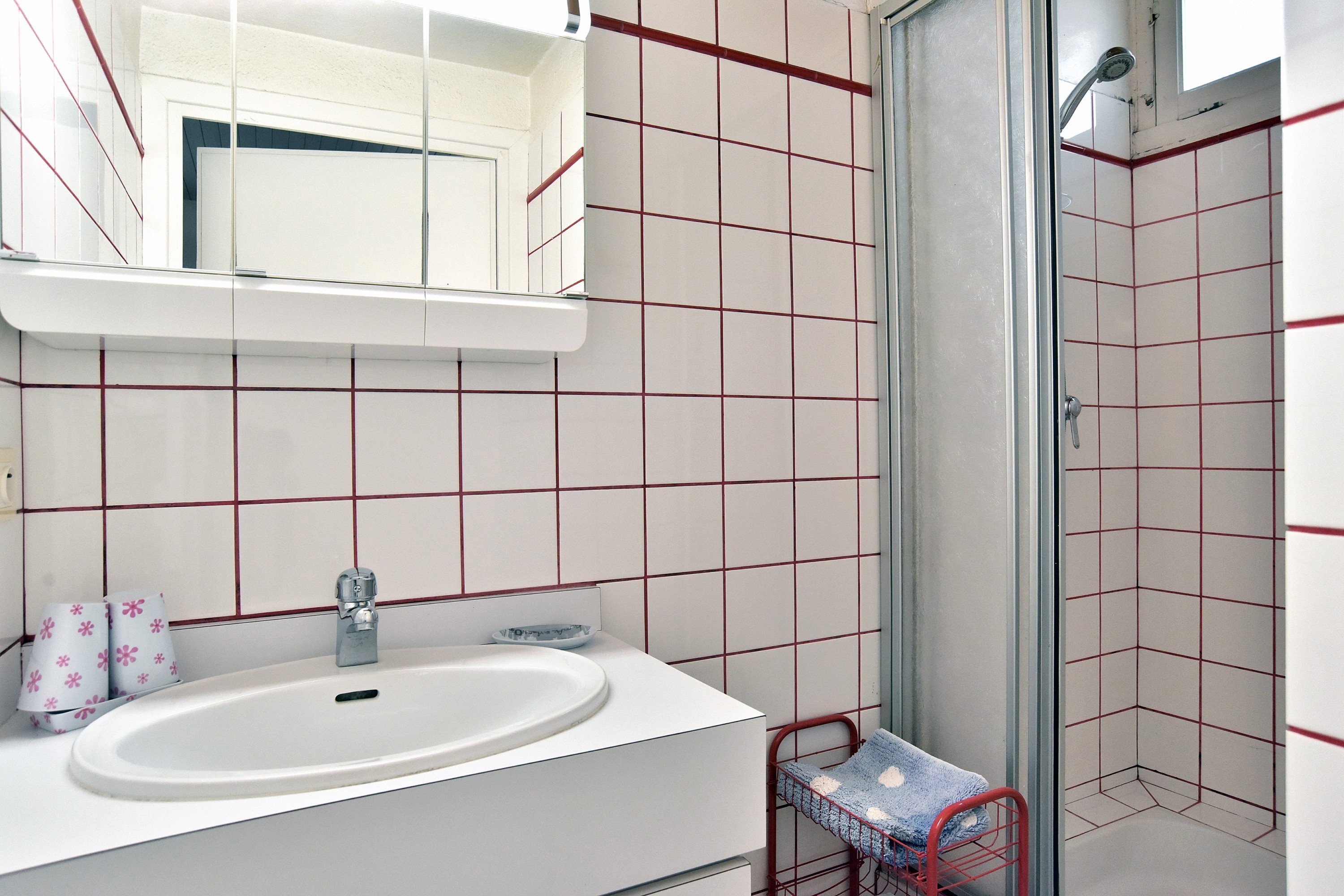 Salle d'eau au RDC