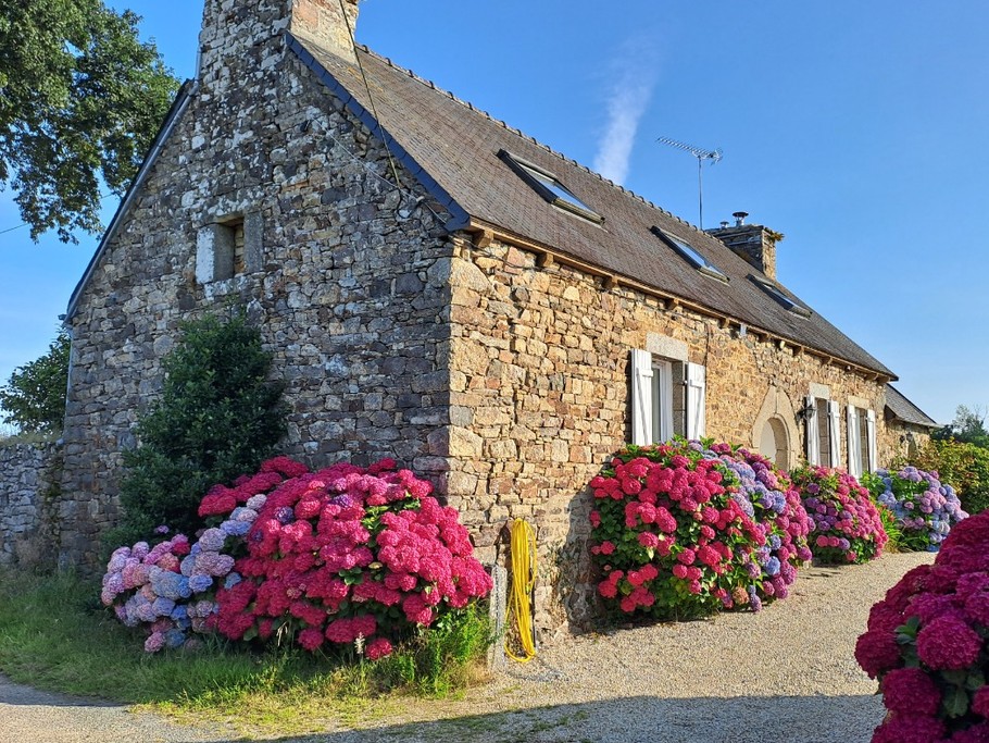 Photo n° 2 de la location